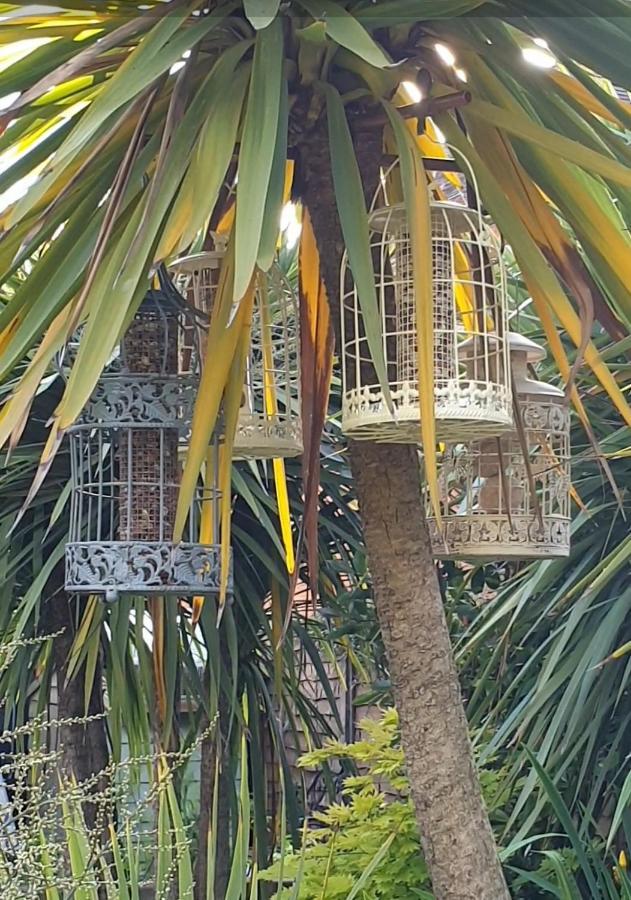 Tropical Garden Oasis Rooms برمنغهام المظهر الخارجي الصورة