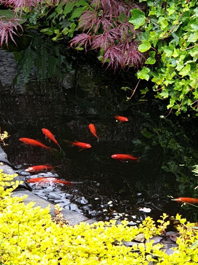 Tropical Garden Oasis Rooms برمنغهام المظهر الخارجي الصورة