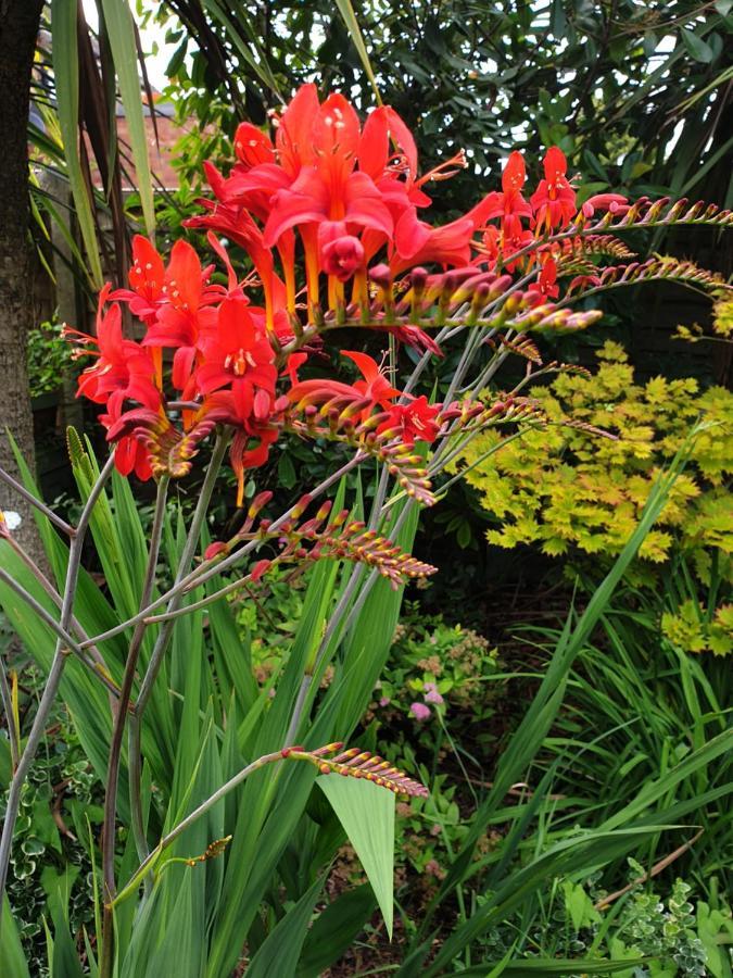 Tropical Garden Oasis Rooms برمنغهام المظهر الخارجي الصورة