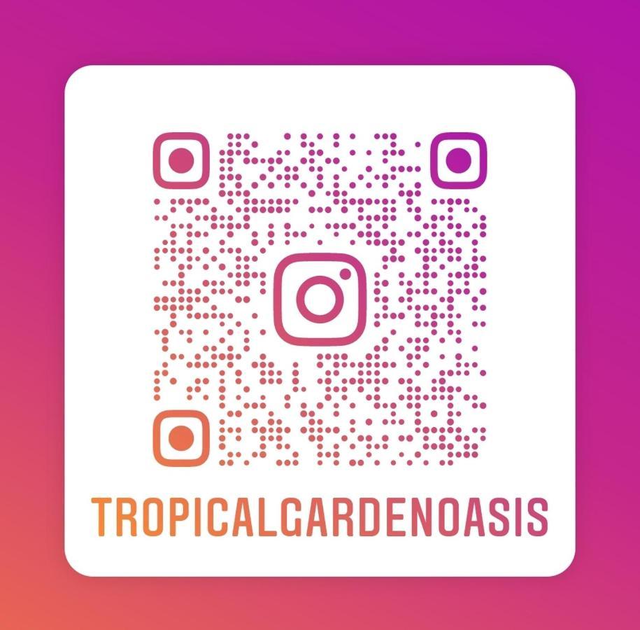 Tropical Garden Oasis Rooms برمنغهام المظهر الخارجي الصورة
