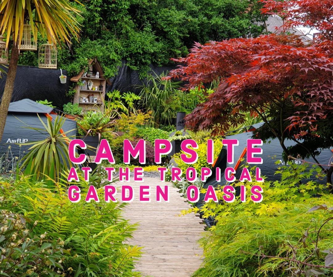 Tropical Garden Oasis Rooms برمنغهام الغرفة الصورة